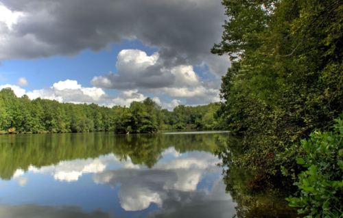 A serene lake surrounded by lush greenery, reflecting clouds and trees in calm waters under a partly cloudy sky.