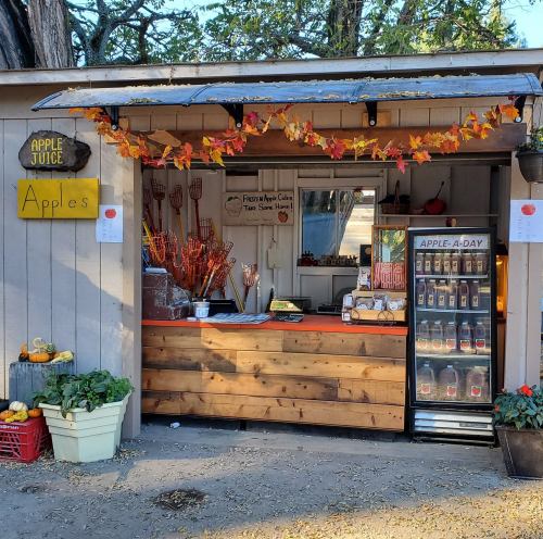 A cozy apple stand with autumn decorations, featuring apples, apple juice, and a display of fresh produce.