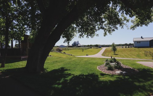 A scenic view of a green lawn, tree shade, and a winding path leading to a white farmhouse in the distance.