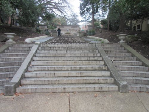A wide staircase made of stone, flanked by trees, leading up to a raised platform with a person standing at the top.