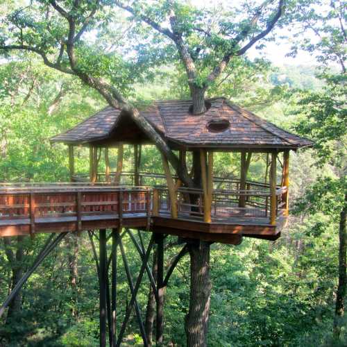 A wooden treehouse perched among lush green trees, featuring a sloped roof and a wraparound deck.