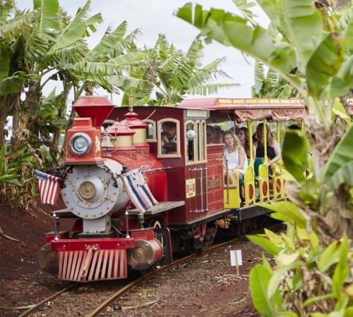A colorful train with passengers travels through a lush banana plantation.