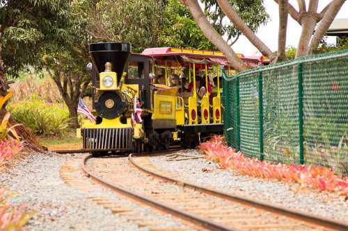 A colorful miniature train on tracks surrounded by greenery and vibrant flowers.