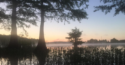 Serene lake at dawn, with mist rising and silhouettes of trees against a colorful sky.