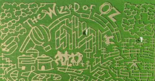 Aerial view of a corn maze featuring designs from "The Wizard of Oz," including characters and iconic elements.