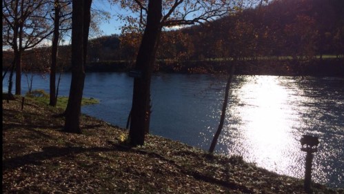 A serene river scene with trees along the bank, reflecting sunlight on the water's surface. Autumn leaves are scattered on the ground.