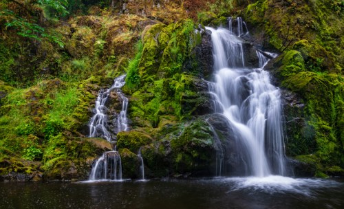 A serene waterfall cascading over moss-covered rocks into a calm pool, surrounded by lush greenery.