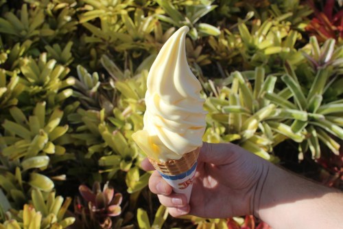 A hand holding a soft-serve ice cream cone against a backdrop of colorful foliage.