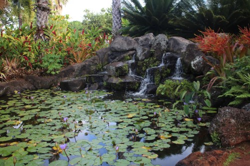 A serene garden scene featuring a small waterfall, lush greenery, and water lilies floating on a pond.