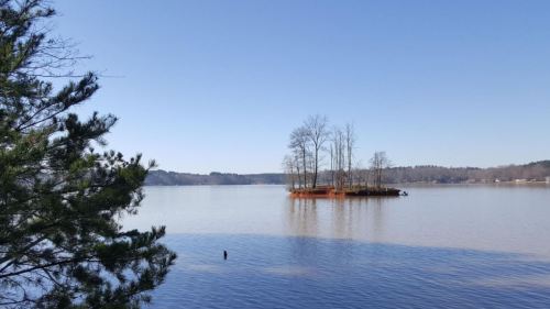 A serene lake scene featuring a small island with trees, surrounded by calm water and a clear blue sky.