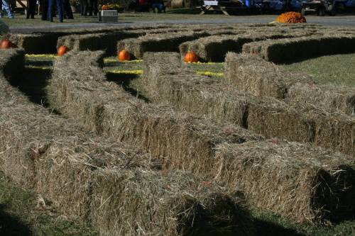 A maze made of hay bales, with pumpkins and flowers scattered throughout, set in an outdoor field.