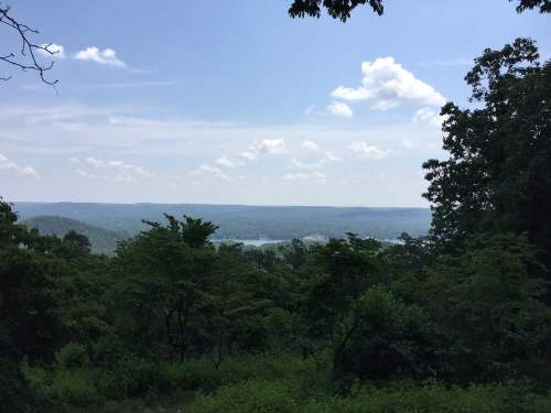 A scenic view of a lush landscape with trees, rolling hills, and a distant body of water under a blue sky with clouds.