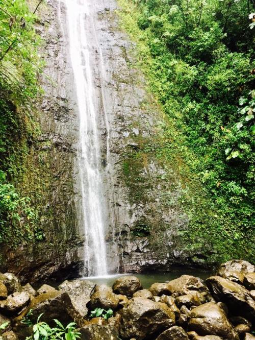 A serene waterfall cascading down a rocky cliff, surrounded by lush green foliage and smooth stones at the base.