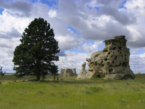 A large, weathered rock formation stands beside a tall tree in a grassy landscape under a cloudy sky.
