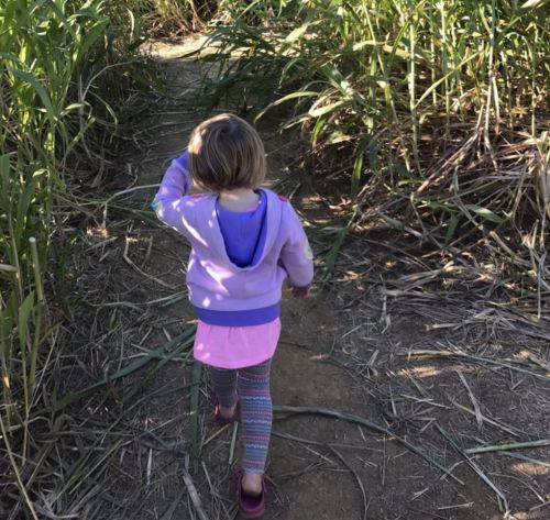 A young child walks along a narrow path through tall grass, wearing a purple hoodie and colorful leggings.