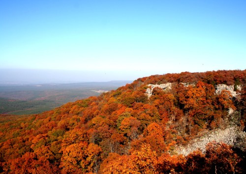 Vibrant autumn landscape with orange and yellow foliage covering rolling hills under a clear blue sky.