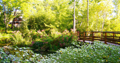 A serene garden scene with a wooden bridge over a pond, surrounded by lush greenery and colorful flowers.