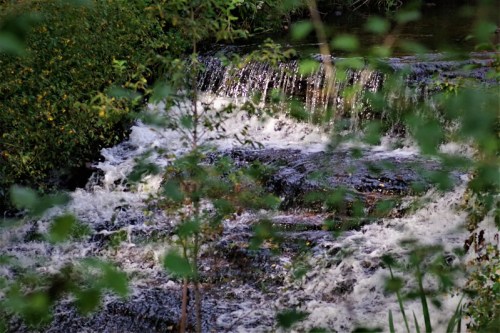 A cascading waterfall surrounded by lush greenery and flowing water, creating a serene natural scene.