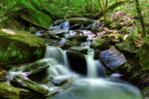 A serene stream flows over smooth rocks, surrounded by lush green foliage in a tranquil forest setting.