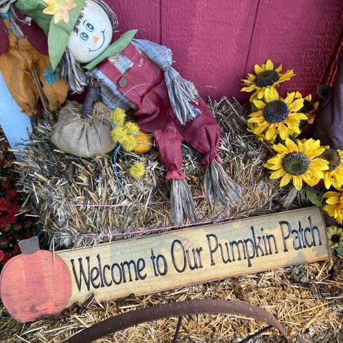 A scarecrow beside a sign reading "Welcome to Our Pumpkin Patch," surrounded by sunflowers and hay bales.