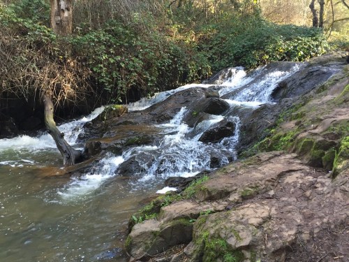 A serene stream flows over rocky terrain, surrounded by lush greenery and trees in a peaceful natural setting.