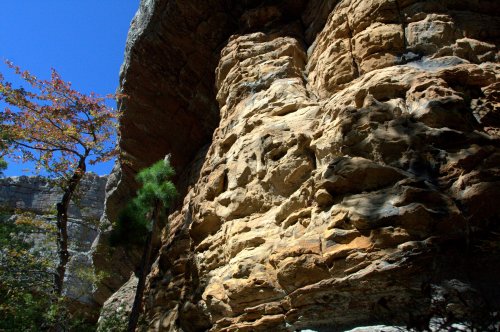 Rocky cliffside with textured stone formations, surrounded by trees and a clear blue sky.