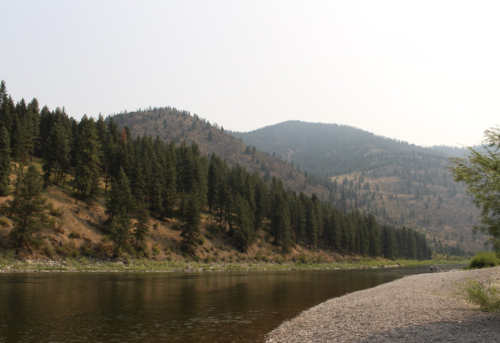 A serene river flows alongside a forested hillside, with mountains in the background under a clear sky.