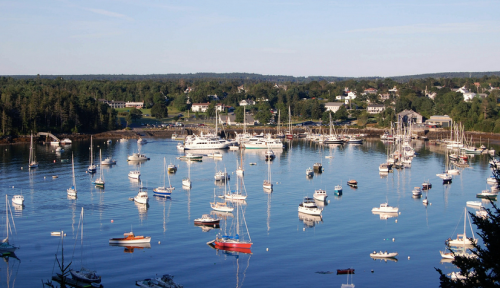 A serene harbor scene with numerous boats anchored in calm waters, surrounded by trees and buildings under a clear sky.