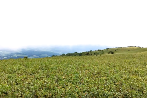 A lush green field stretches across the landscape, with rolling hills and a cloudy sky in the background.