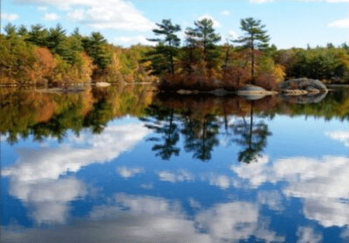 A serene lake reflecting trees and clouds, surrounded by autumn foliage under a clear blue sky.