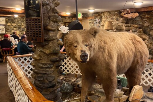 A taxidermy bear stands near a stone fountain in a rustic restaurant, with diners visible in the background.