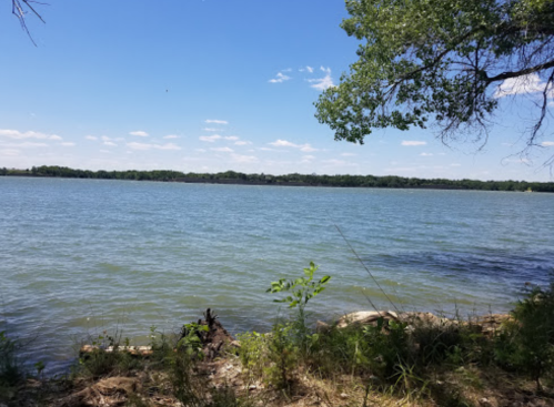 A serene lake view with clear blue water, green trees, and a bright blue sky dotted with clouds.