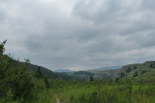 alt