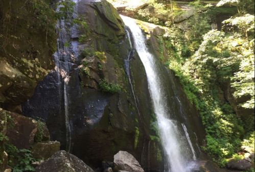 A serene waterfall cascading down rocky cliffs, surrounded by lush green foliage and sunlight filtering through the trees.