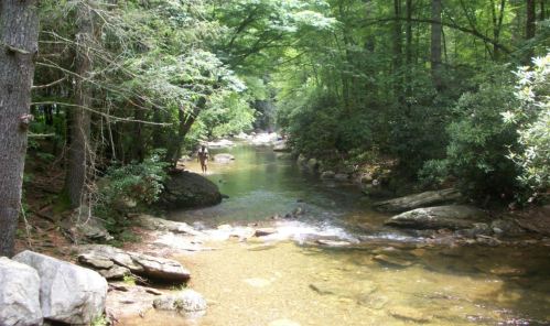 A serene creek flows through a lush green forest, with rocks lining the water and a person walking along the bank.