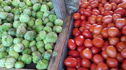 A wooden display featuring green tomatillos on the left and ripe red tomatoes on the right.