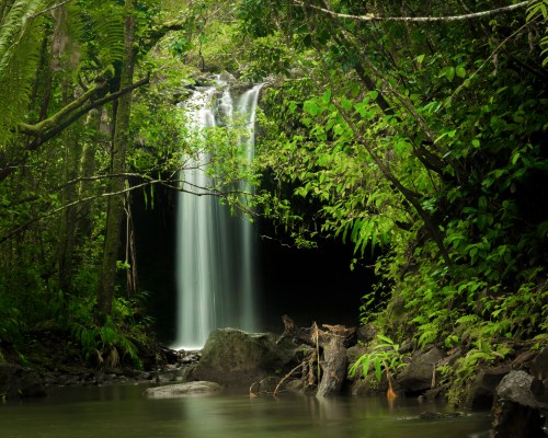 A serene waterfall cascades into a tranquil pool, surrounded by lush green foliage and tropical plants.
