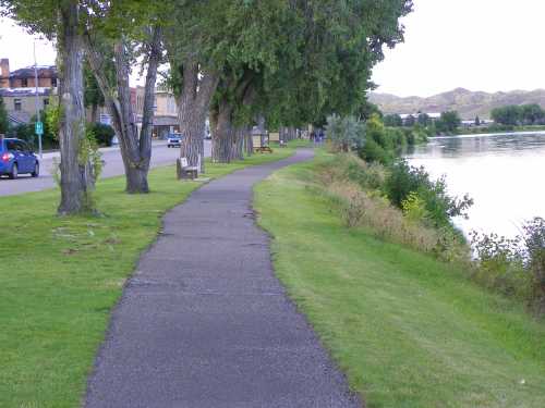 A paved path lined with trees runs alongside a river, with grassy areas and buildings in the background.