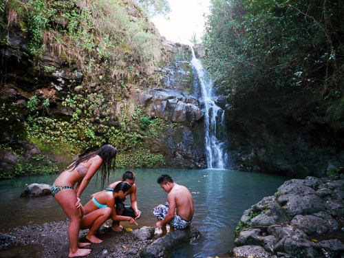 Four people explore a rocky area near a waterfall, surrounded by lush greenery and a serene pool of water.