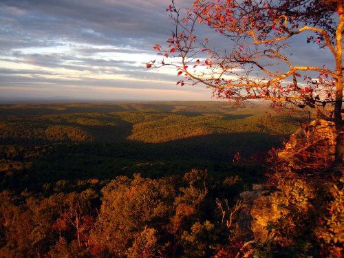 A scenic view of rolling green hills under a colorful sky, with a tree in the foreground displaying autumn leaves.