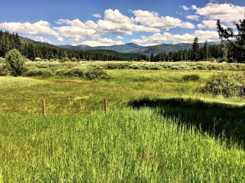A lush green meadow surrounded by trees and mountains under a blue sky with fluffy clouds.