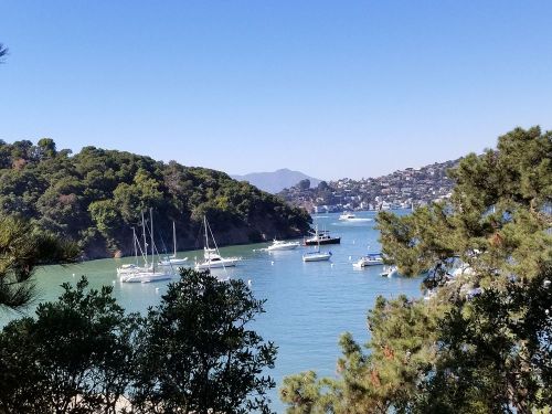 A serene bay with sailboats anchored near lush green hills under a clear blue sky.