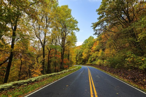 A winding road surrounded by vibrant autumn trees under a clear blue sky.