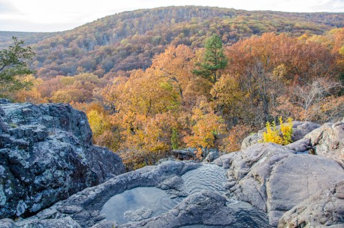 A scenic view of autumn foliage on a hillside, with rocky outcrops and a small pool of water in the foreground.