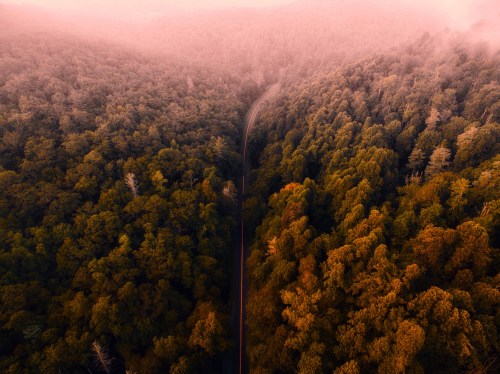 Aerial view of a winding road through a dense forest, surrounded by autumn-colored trees and misty atmosphere.