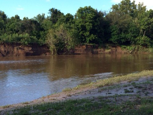 A calm river flows beside a lush green bank, with trees lining the shore under a clear blue sky.