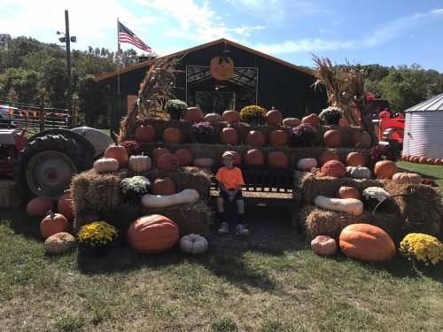 A child sits on a bench surrounded by colorful pumpkins and hay bales at a pumpkin patch on a sunny day.