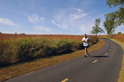 A person jogging on a paved path surrounded by tall grass and trees under a blue sky with wispy clouds.