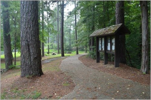 A winding gravel path through a forest, with a wooden information board on the right and trees surrounding the area.