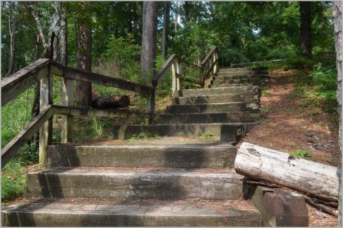 A set of weathered concrete stairs surrounded by trees and greenery, leading up a wooded path.